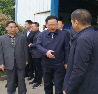 市委书记董卫民一行莅临湖北科航公司参观考察指导